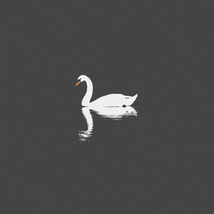 japen women fuck black
