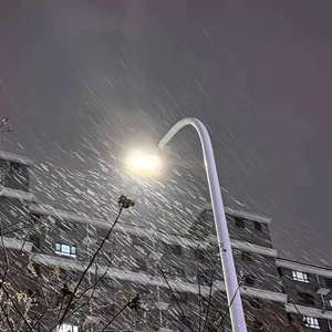 japen women fuck black
